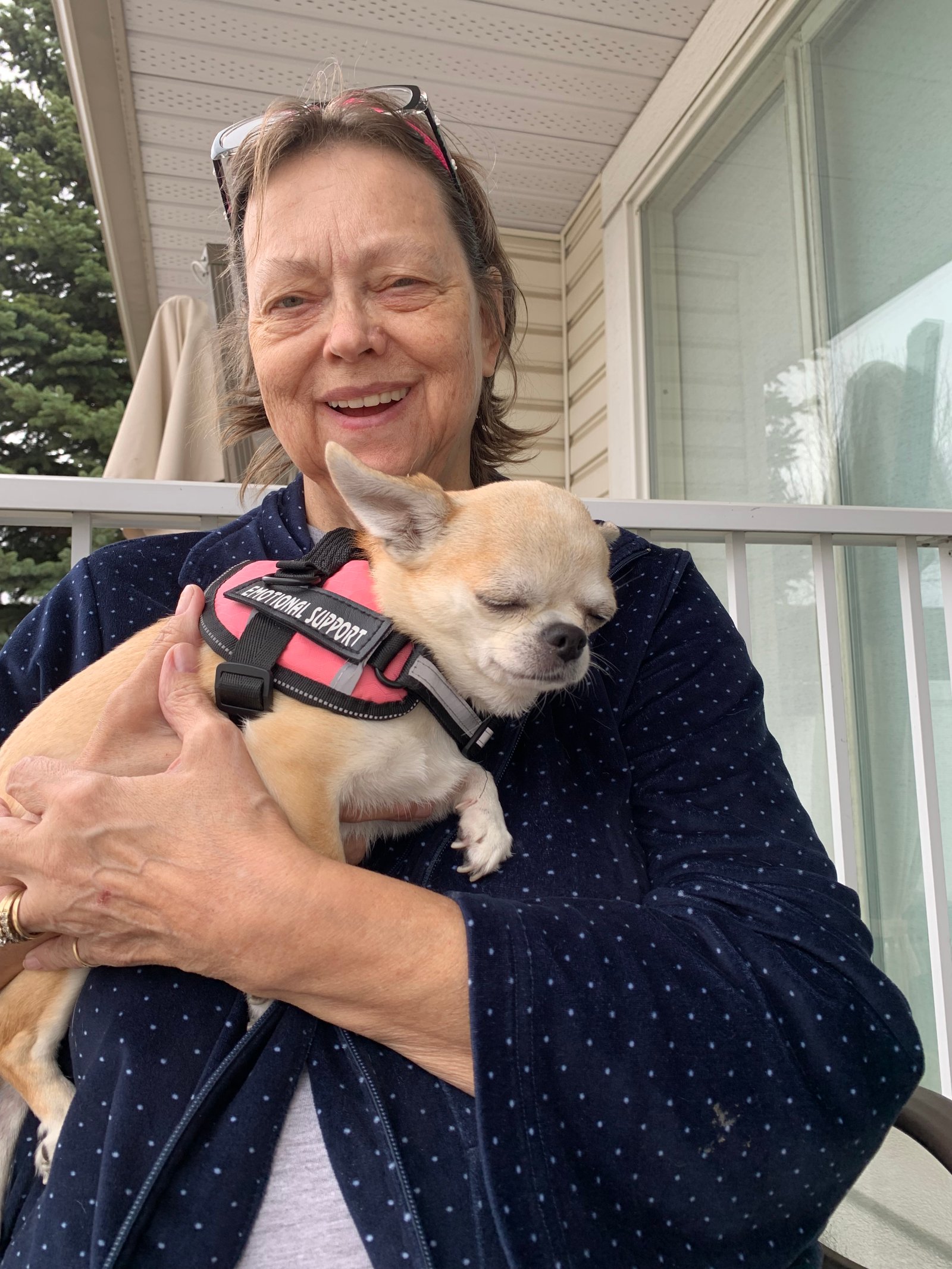 Lynn Cheney with her emotional support dog