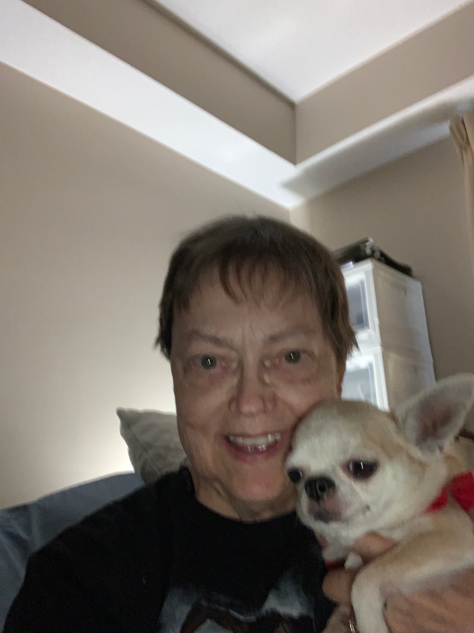 Lynn Cheney, Founder